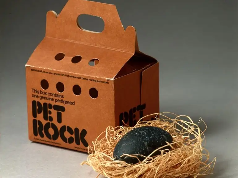 pet rock