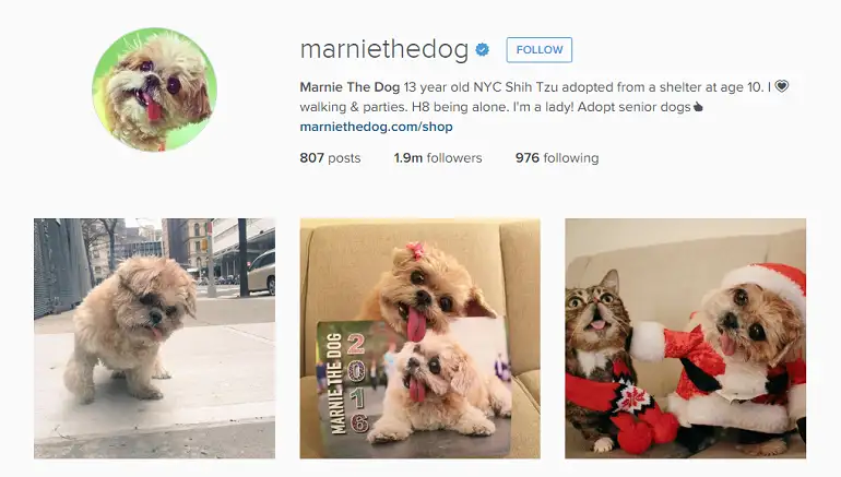 Instagram - Marnie