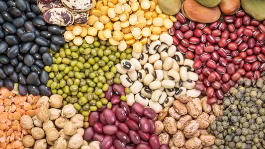 Several varieties of dry beans. 