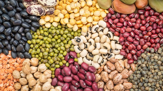 Several varieties of dry beans. 