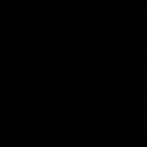 A black sports car appearing on a black background