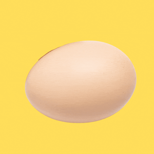 A chick hatching from an egg.