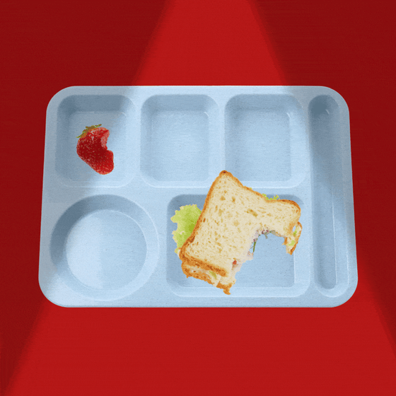 Lunch tray