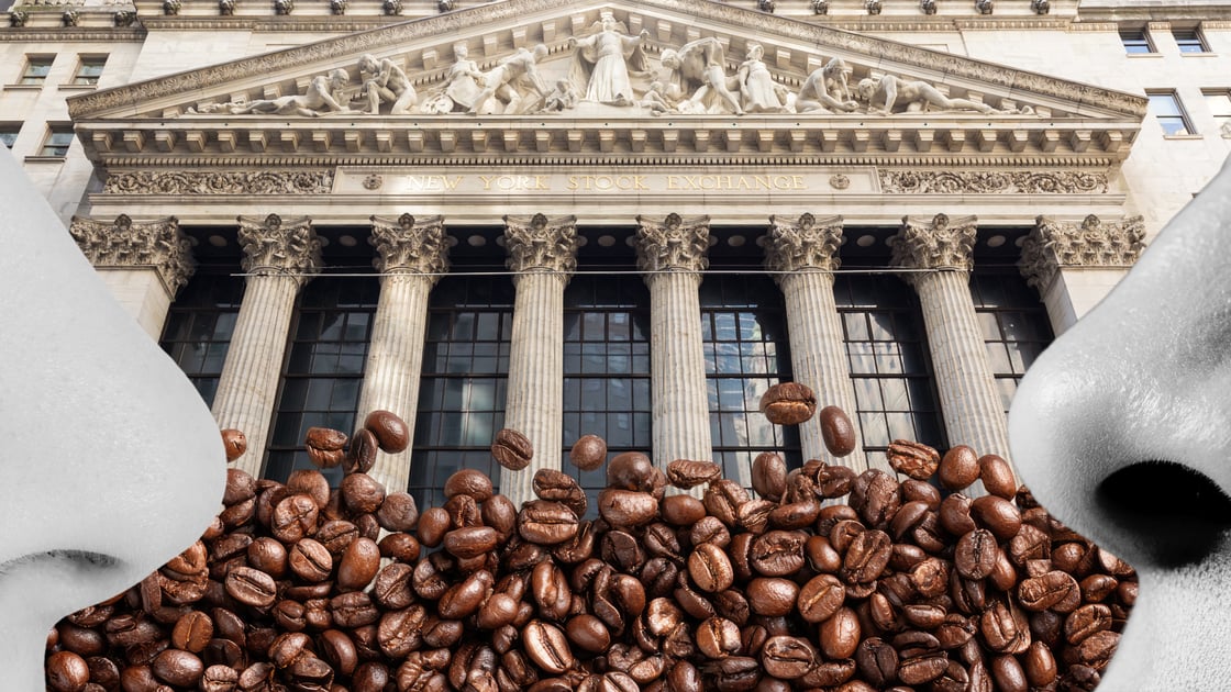 Two noses sniff a pile of coffee beans.