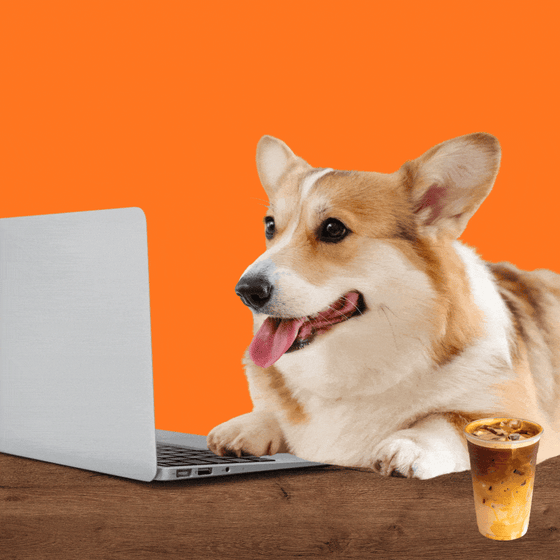 A corgi taps its paw on a laptop next to an iced latte.