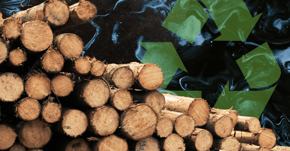 collection of tree stumps and logs with a recycling logo in the background