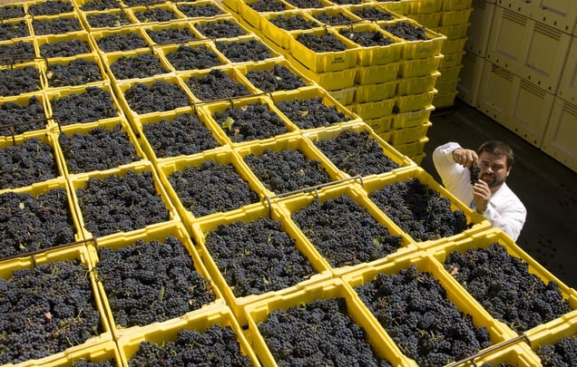 Gettygrapes