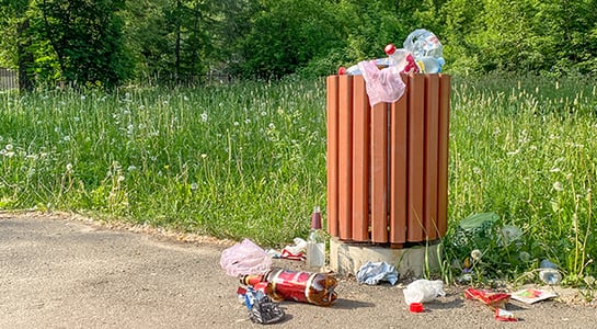 A digital collage showing two raccoons scavenging through litter on a sidewalk next to a wooden-slatted trash can in a park.