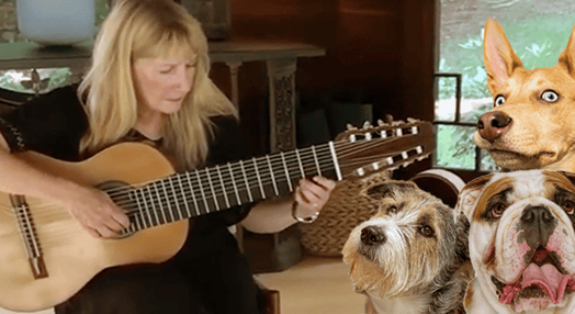 pet music writing