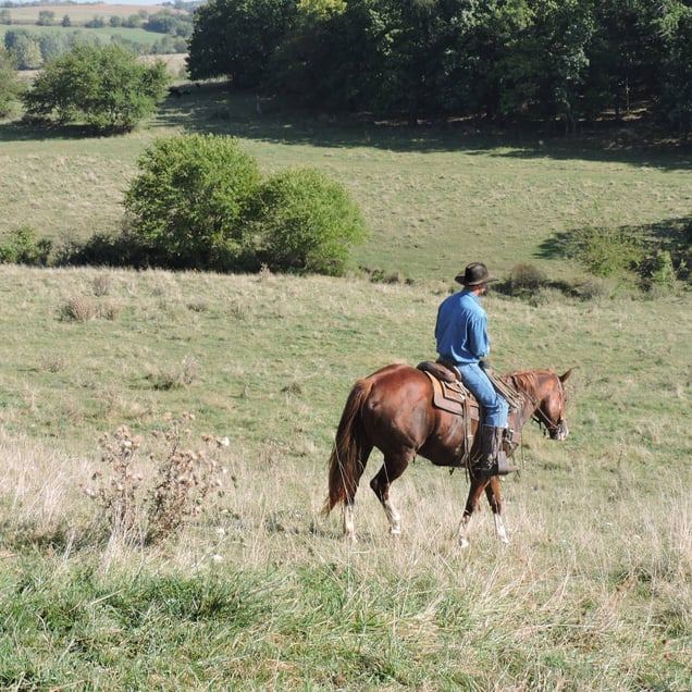 Cowboy on Assignment: A man in a blue shirt and cowboy hat rides a brown horse through a grassy, rolling field toward a line of trees.