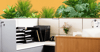 A cubicle surrounded by plants 