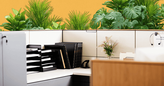 A cubicle surrounded by plants 