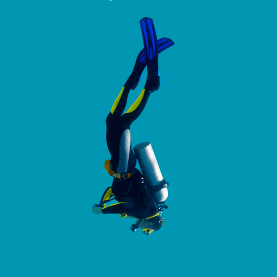 A diver descending.