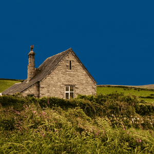 Cottage with a golden snitch 
