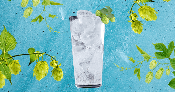 A glass of sparkling water with hop flowers as a garnish and hanging in the background. 