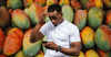 The economics of mango mania