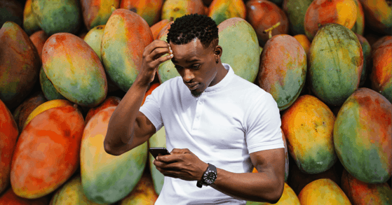A man looking at his phone in front of mangoes