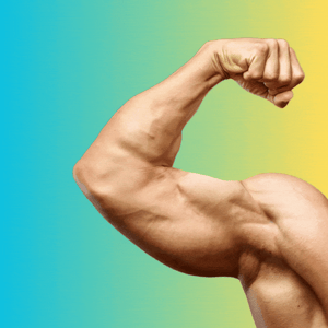 A muscular arm flexing.