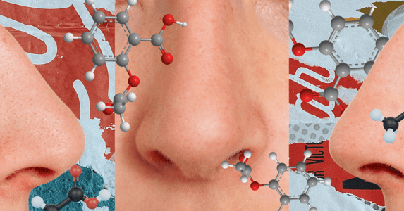 Three white noses with red, black, gray, and white molecules floating around them.