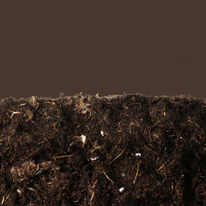 Plants growing from soil with electricity shooting up