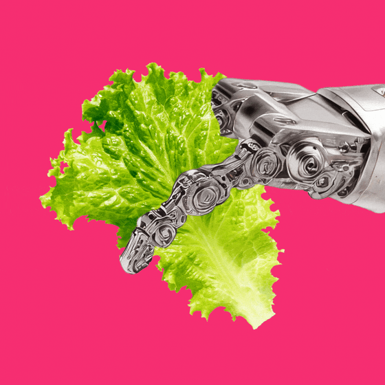 Robot hand holding lettuce