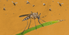 Mosquitos