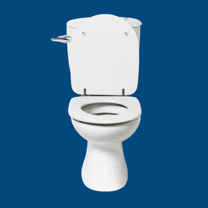 Toilet flushing 