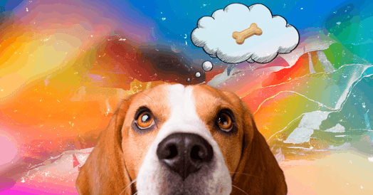 A beagle with a thought cloud next to its head. Inside is a bone.