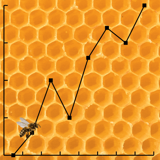 A graph that depicts an increasing line. The graph is stylized with a honeycomb background and a bee moving along the line. 