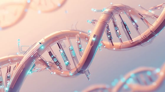 DNA strands