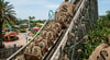 A roller coaster with bag of money in each seat