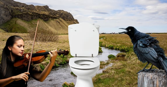 A toilet sits in the middle of a scenic field with a stream running through. On one side, a woman plays the violin. On the other, a black bird caws. 