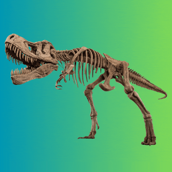 Trex