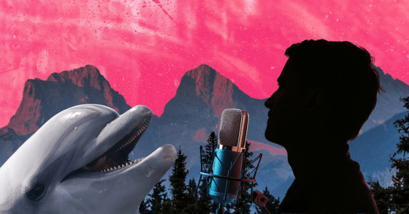 A collage shows a dolphin and a silhouetted figure in front of a microphone. A photo of the Rocky Mountains is in the background.