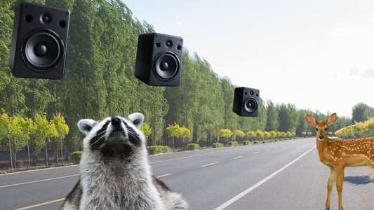A raccoon and a deer stand along a tree-lined roadway. Speakers hang overhead. 
