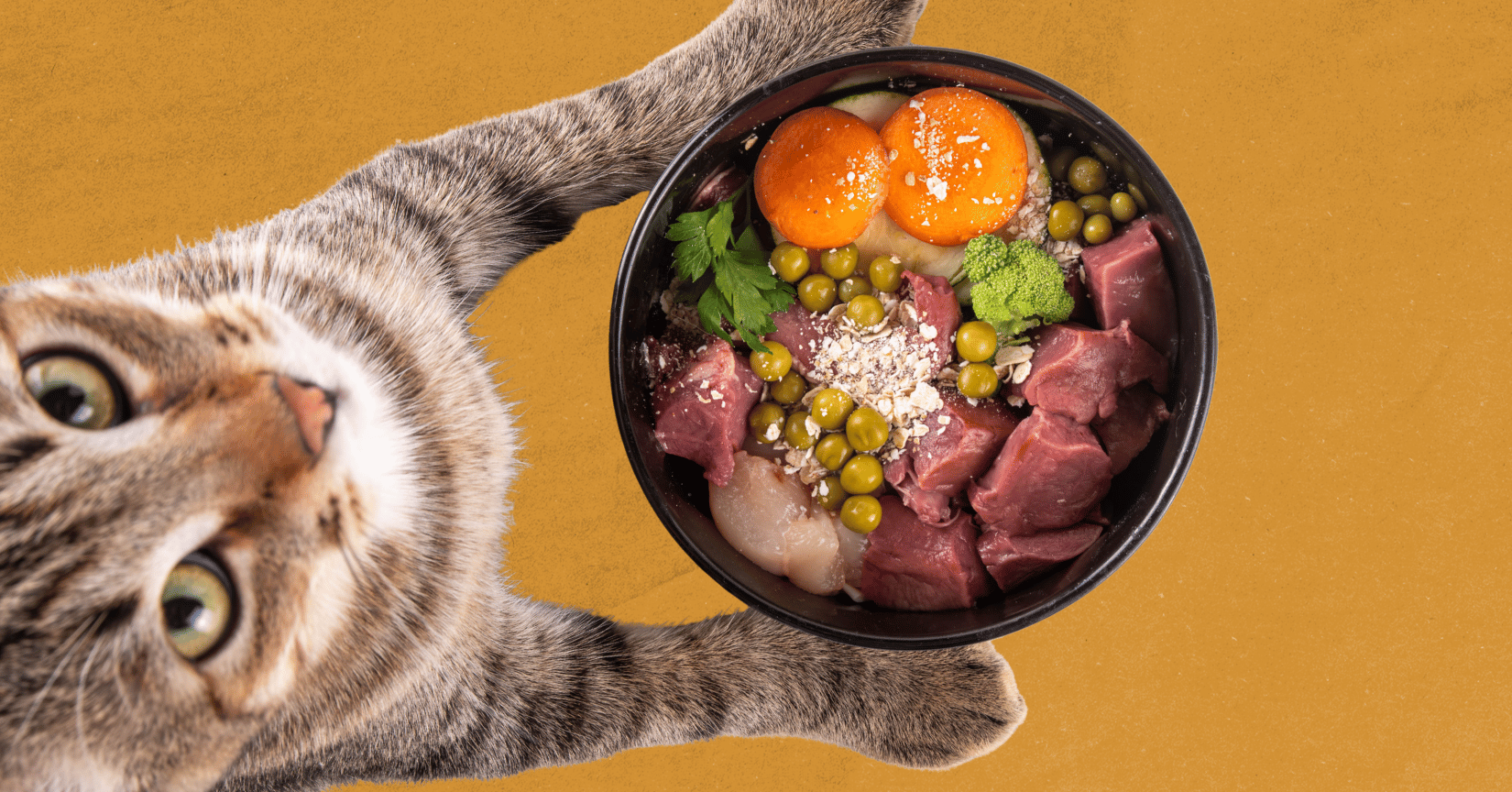 The delicate palates of pet food taste testers