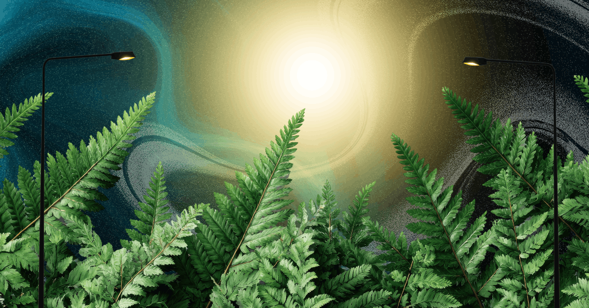 Could glow-in-the-dark plants replace street lamps?