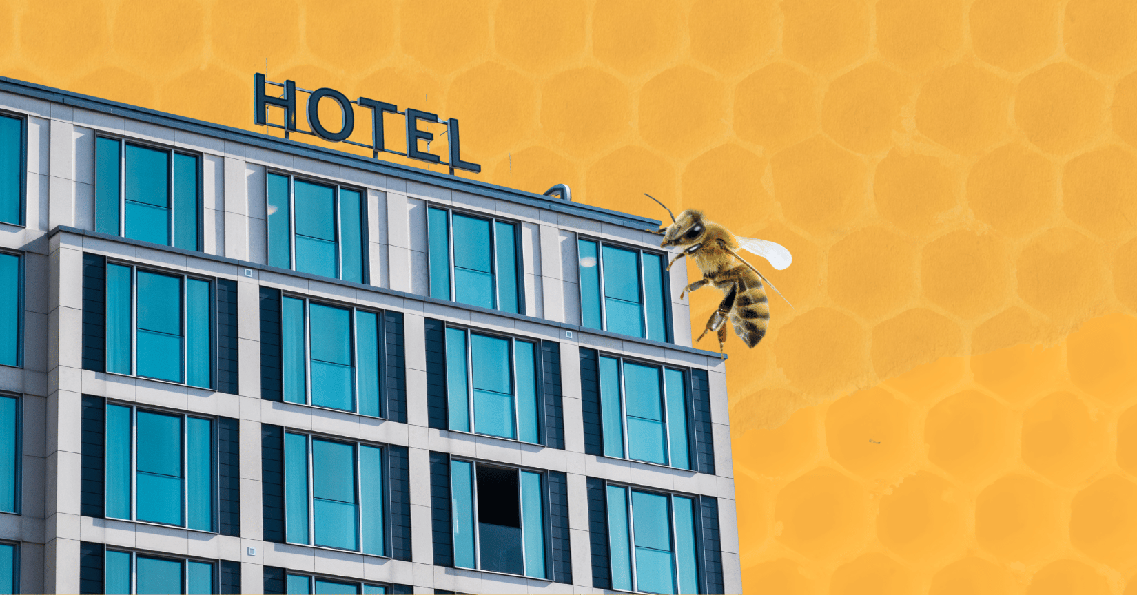 Why hotels are creating buzz about bees