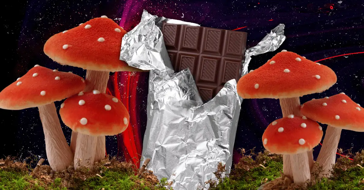 Chocolate Mushroom Candy (Brands and Origins)