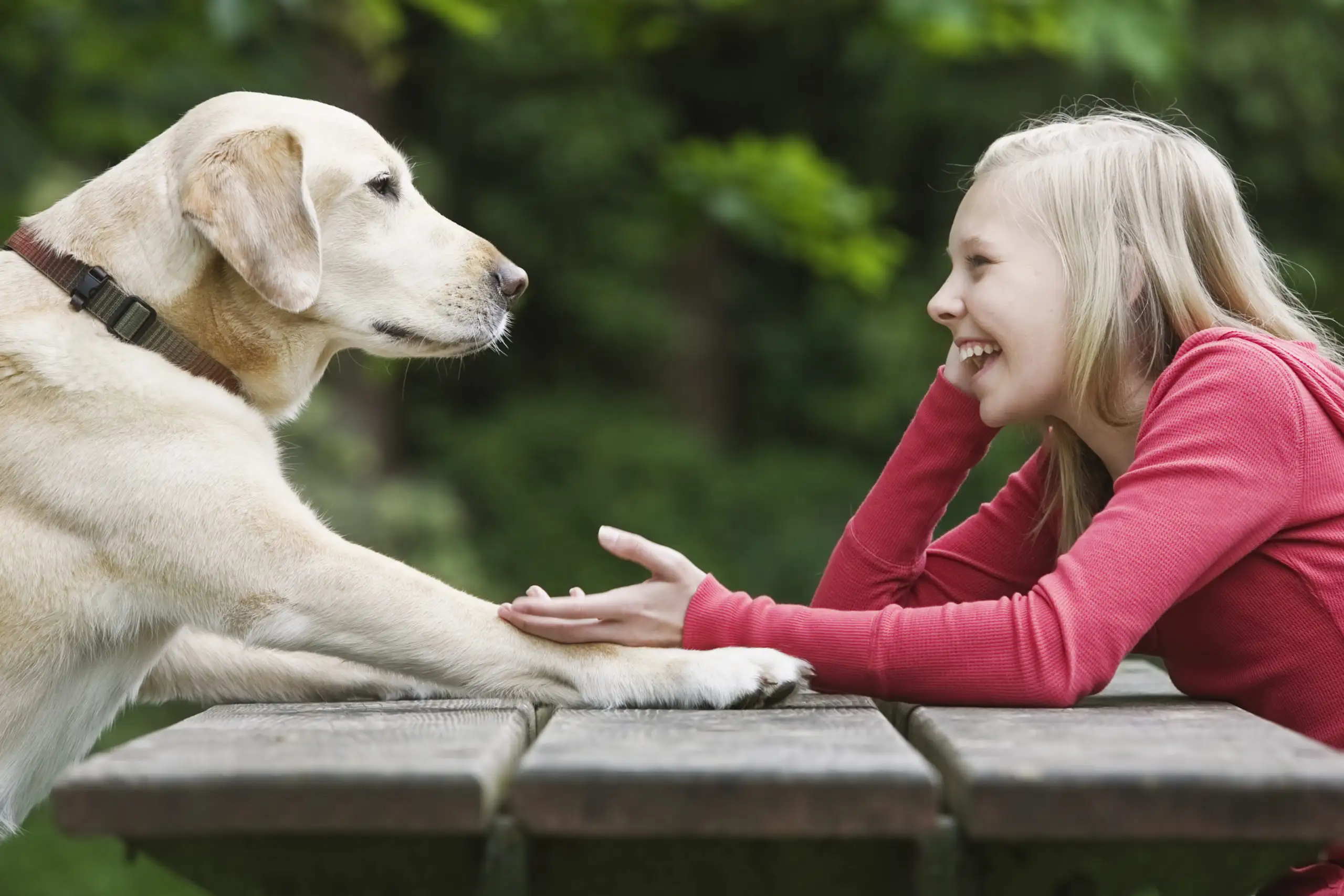 Can machine learning help us talk to pets?