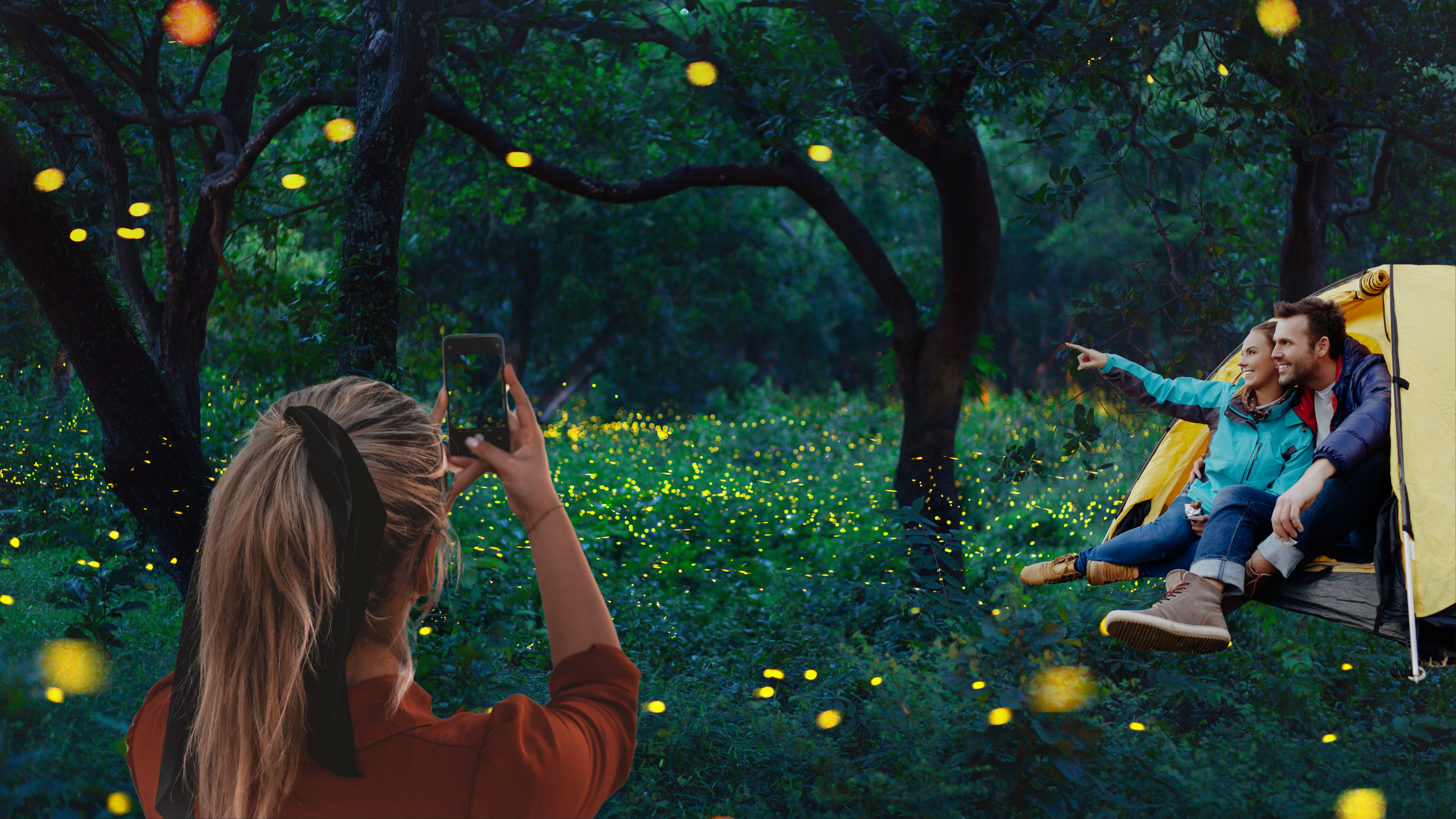 Firefly tourism is buzzing