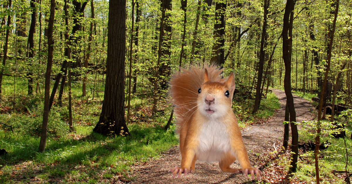 Citizen naturalists are aiding scientific research