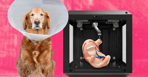 This startup will 3D-print dog skin first, then maybe your kidney