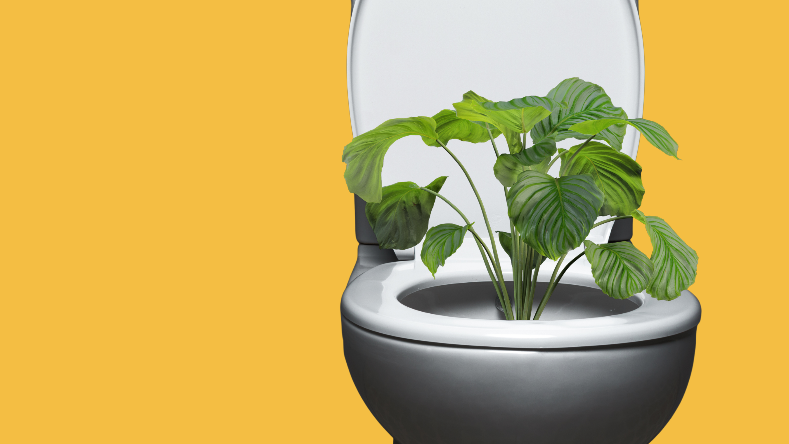 Could your bathroom break help save the planet?