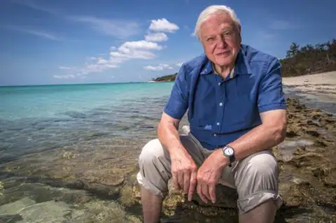 Sir David Attenborough leaves the BBC to Netflix and binge