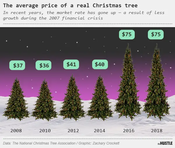 The economics of Christmas trees - The Hustle
