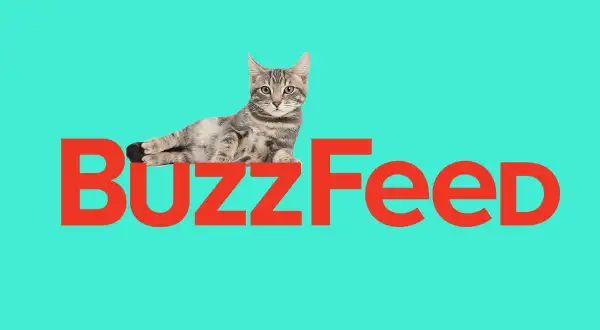 BuzzFeed se ha estrellado como empresa pública, pero hay un lado positivo