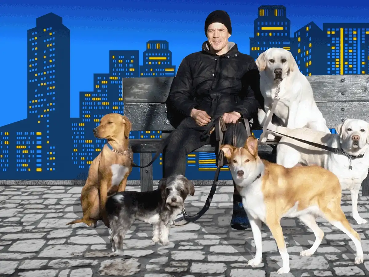 What it’s like to make $100k+ walking dogs
