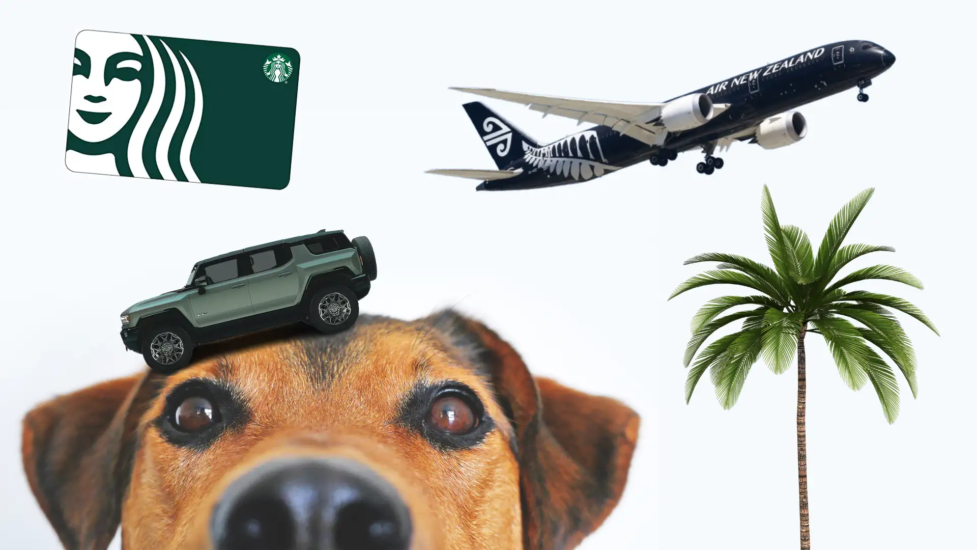 Digits: Hummers, dog hotels, and $1T gift cards